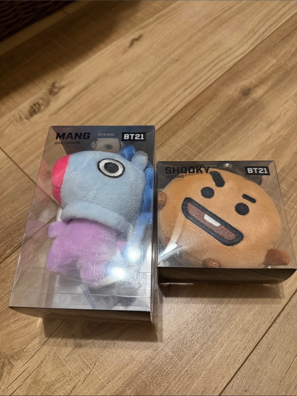 BT21 Plush Keychain Set - MANG (Blue/Pink) & SHOOKY (Brown)